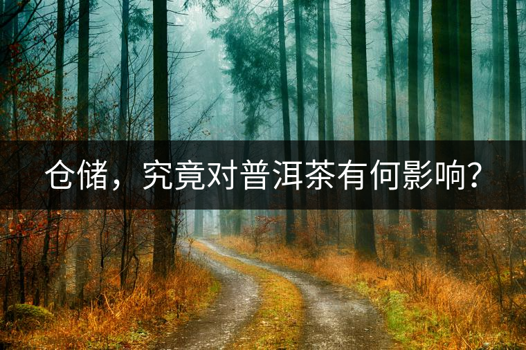 倉儲，究竟對普洱茶有何影響？