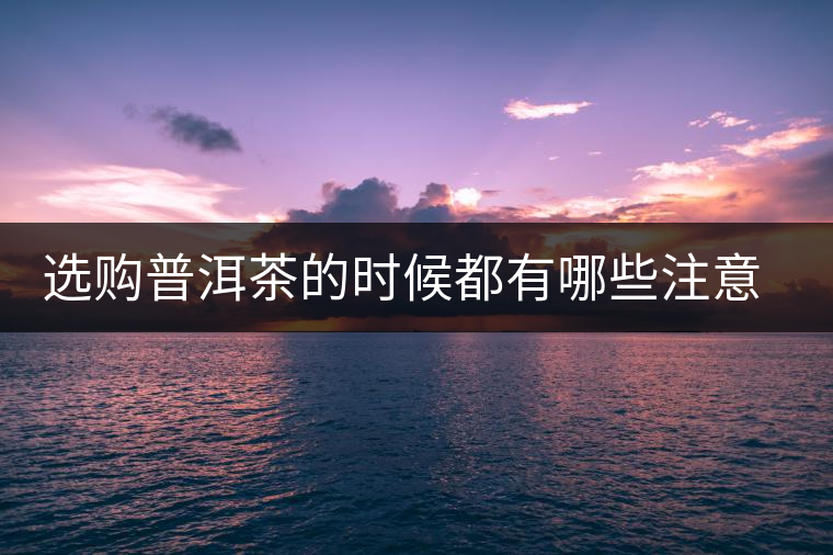 選購普洱茶的時候都有哪些注意事項？