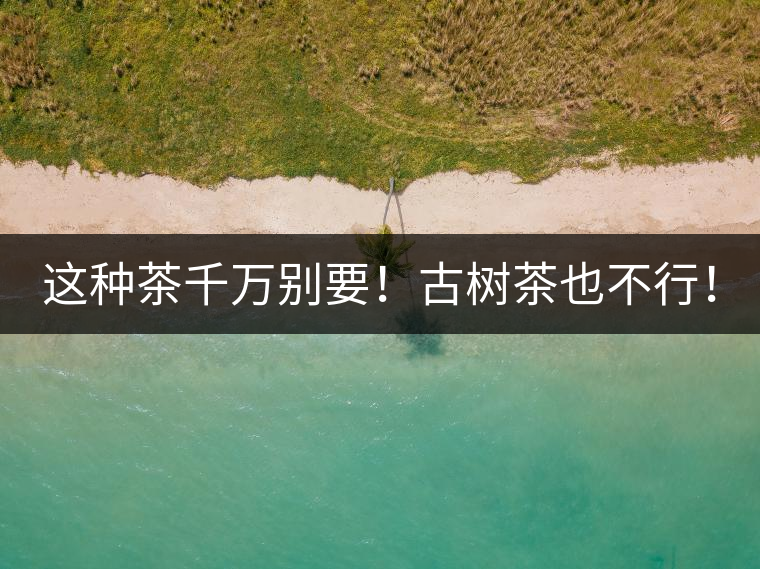 這種茶千萬別要！古樹茶也不行！