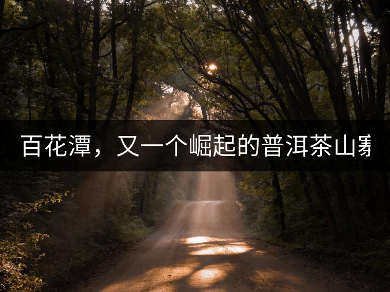 百花潭，又一個崛起的普洱茶山寨！