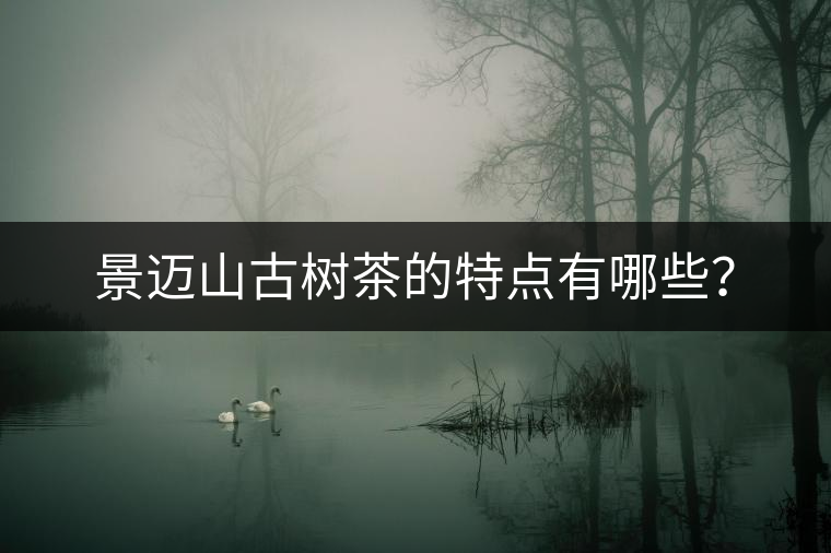 景邁山古樹茶的特點有哪些？