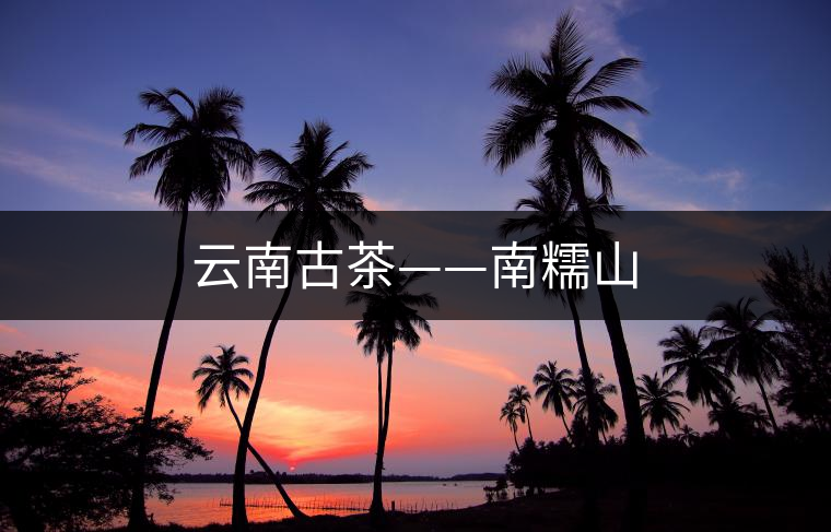 云南古茶——南糯山