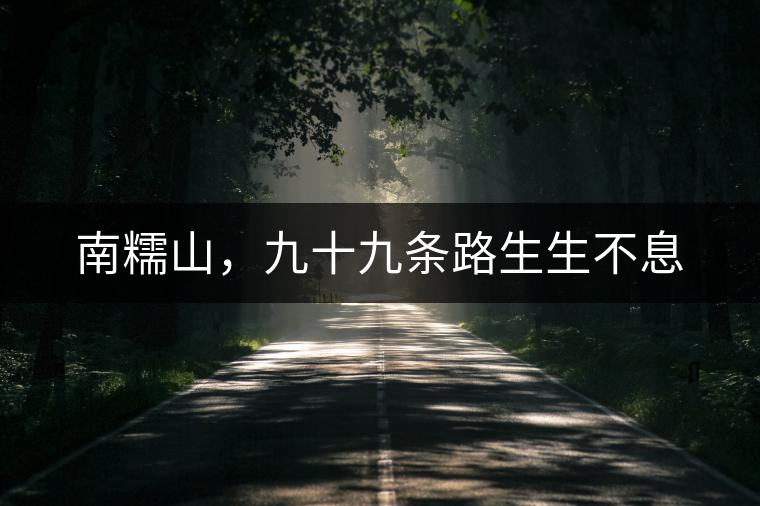 南糯山，九十九條路生生不息