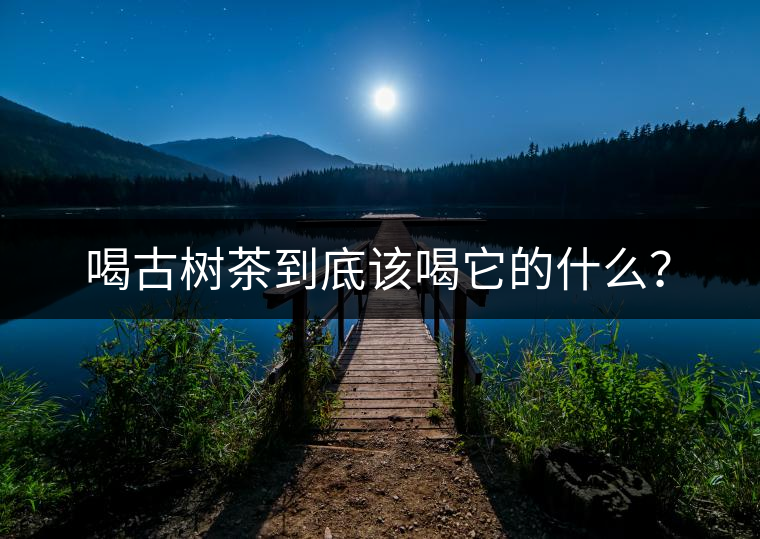 喝古樹茶到底該喝它的什么? 喝古樹茶到底該喝它的什么?