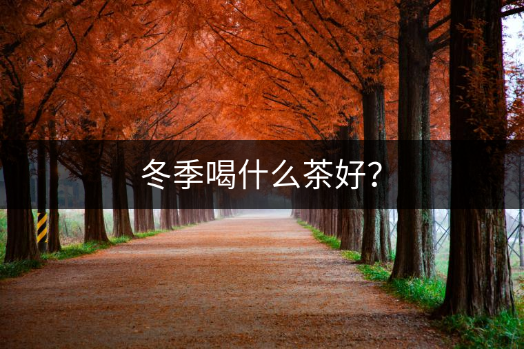 冬季喝什么茶好？