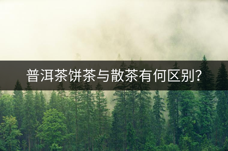 普洱茶餅茶與散茶有何區(qū)別？