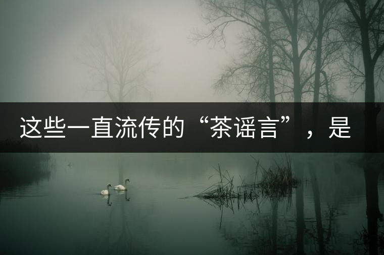 這些一直流傳的“茶謠言”，是時候知道真相了