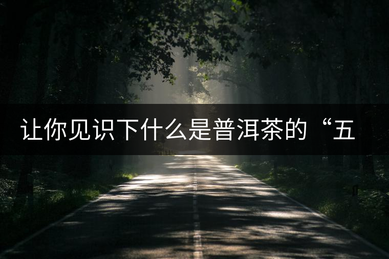 讓你見識下什么是普洱茶的“五六七八九 讓你見識下什么是普洱茶的“五六七八九