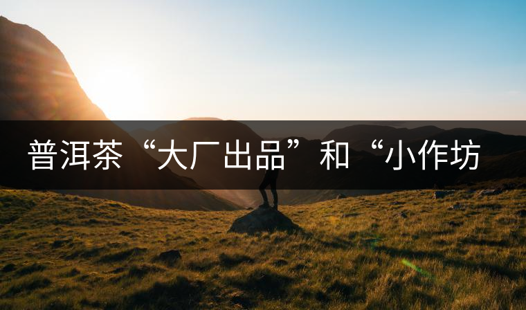 普洱茶“大廠出品”和“小作坊”，哪一個(gè)更值得購(gòu)買？