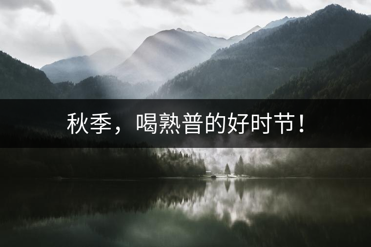 秋季，喝熟普的好時(shí)節(jié)！