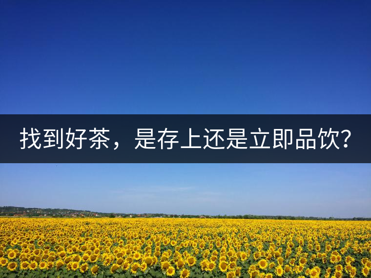 找到好茶，是存上還是立即品飲？
