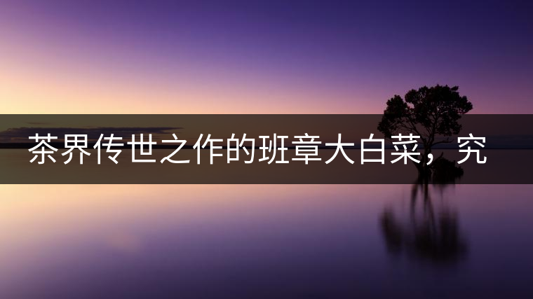 茶界傳世之作的班章大白菜，究竟有什么大來頭？