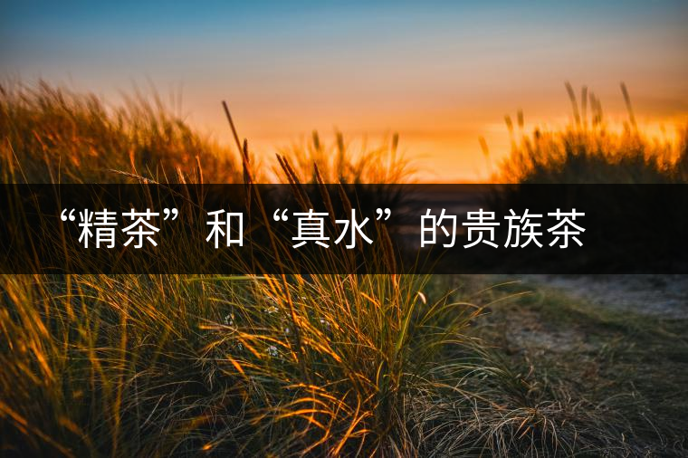 “精茶”和“真水”的貴族茶道 “精茶”和“真水”的貴族茶道