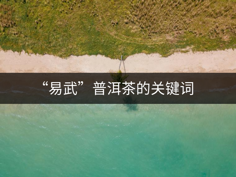 “易武”普洱茶的關(guān)鍵詞 “易武”普洱茶的關(guān)鍵詞
