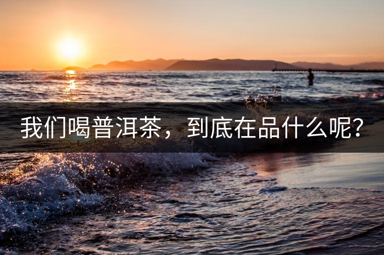 我們喝普洱茶，到底在品什么呢？