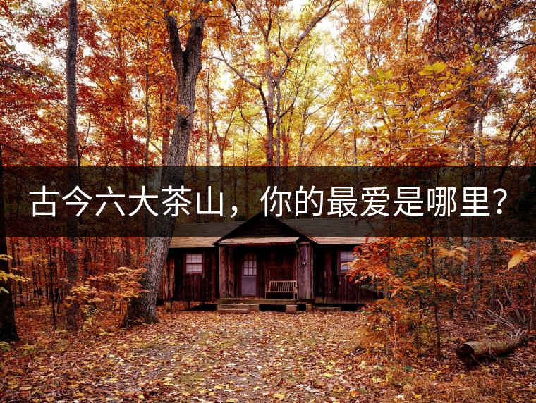 古今六大茶山，你的最愛(ài)是哪里？