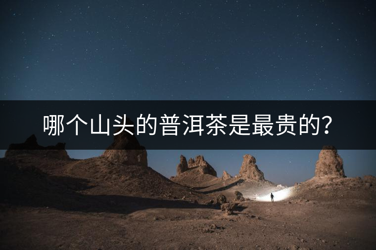 哪個(gè)山頭的普洱茶是最貴的？