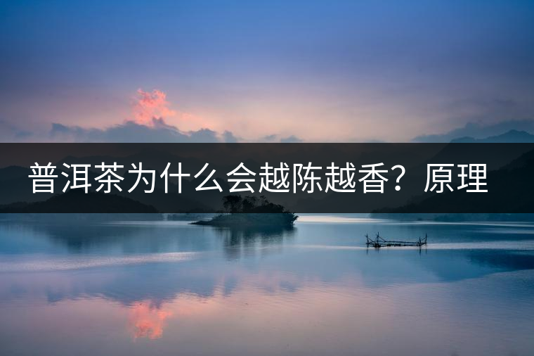 普洱茶為什么會越陳越香？原理是什么？