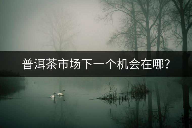 普洱茶市場下一個機會在哪？