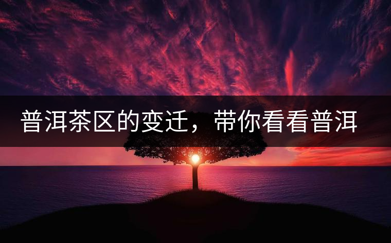 普洱茶區(qū)的變遷，帶你看看普洱茶地域分布