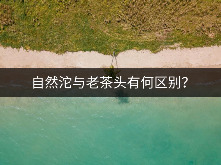 自然沱與老茶頭有何區(qū)別？