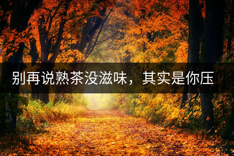 別再說熟茶沒滋味，其實是你壓根沒喝懂