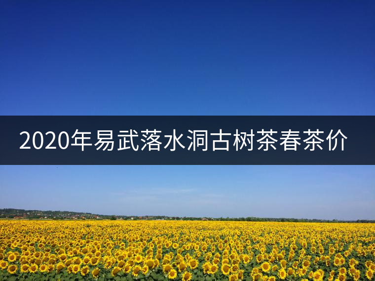 2020年易武落水洞古樹茶春茶價(jià)格和特點(diǎn)