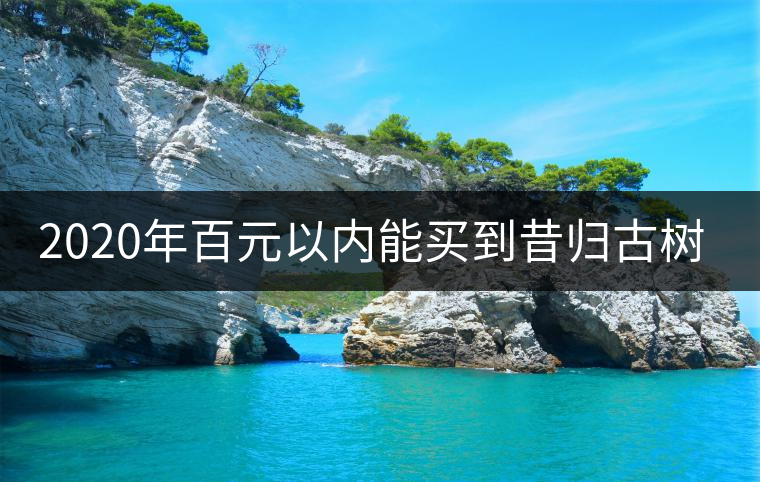 2020年百元以內(nèi)能買到昔歸古樹嗎? 2020年百元以內(nèi)能買到昔歸古樹嗎?