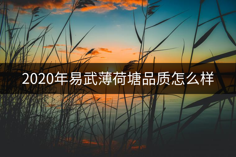 2020年易武薄荷塘品質怎么樣