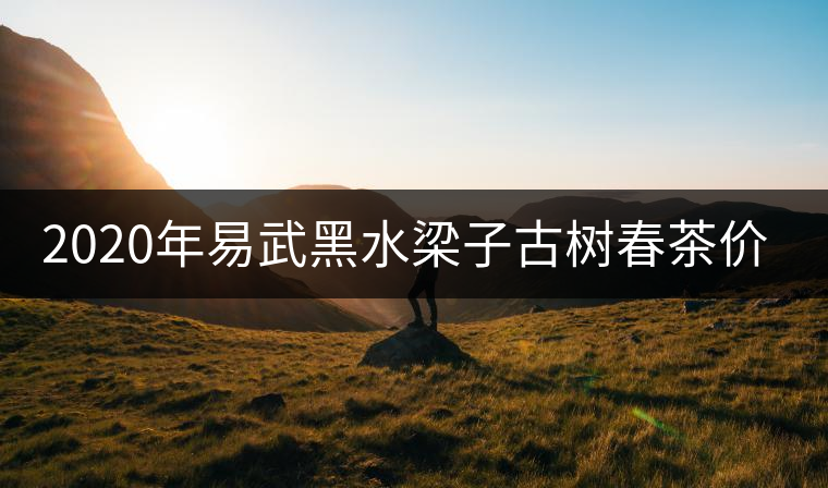 2020年易武黑水梁子古樹(shù)春茶價(jià)格 2020年易武黑水梁子古樹(shù)春茶價(jià)格