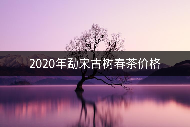2020年勐宋古樹春茶價格 2020年勐宋古樹春茶價格