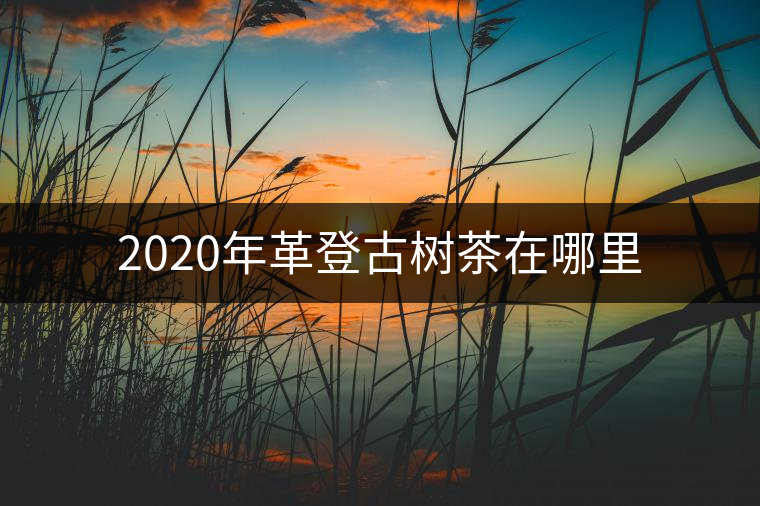 2020年革登古樹茶在哪里 2020年革登古樹茶在哪里