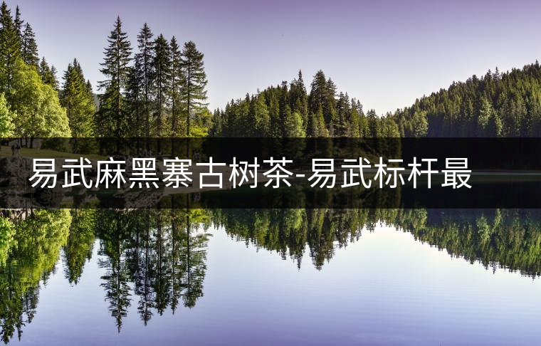 易武麻黑寨古樹茶-易武標桿最能代表易武口感的山頭茶古樹春茶 易武麻黑寨古樹茶-易武標桿最能代表易武口感的山頭茶古樹春茶