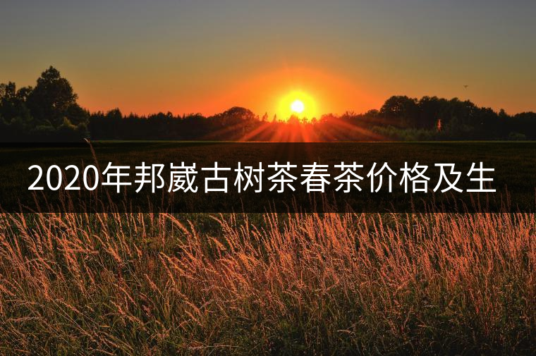 2020年邦崴古樹茶春茶價格及生態(tài)環(huán)境 2020年邦崴古樹茶春茶價格及生態(tài)環(huán)境