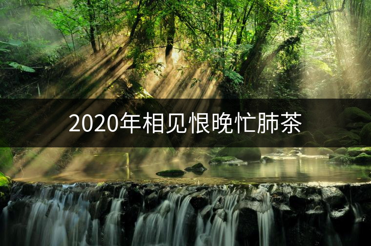 2020年相見恨晚忙肺茶 2020年相見恨晚忙肺茶