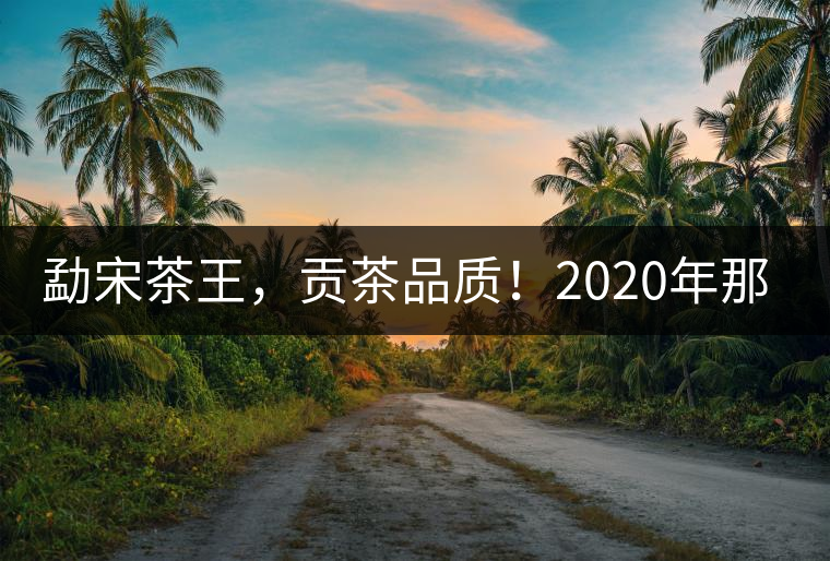 勐宋茶王，貢茶品質(zhì)！2020年那卡古樹(shù)青餅悠然而至！