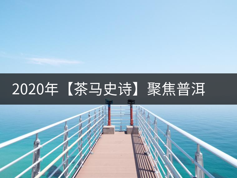 2020年【茶馬史詩(shī)】聚焦普洱古茶山之——邦崴古茶山