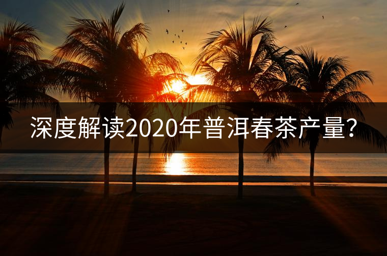 深度解讀2020年普洱春茶產(chǎn)量？
