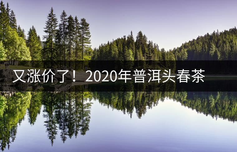 又漲價了!2020年普洱頭春茶同比減產(chǎn)50%,導(dǎo)致微小區(qū)域價格上浮 又漲價了!2020年普洱頭春茶同比減產(chǎn)50%,導(dǎo)致微小區(qū)域價格上浮