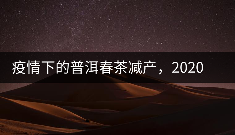 疫情下的普洱春茶減產(chǎn)，2020年價格“兩極分化”或成常態(tài)？