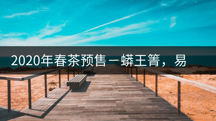 2020年春茶預(yù)售－蟒王箐，易武一個蟒蛇出沒的地方