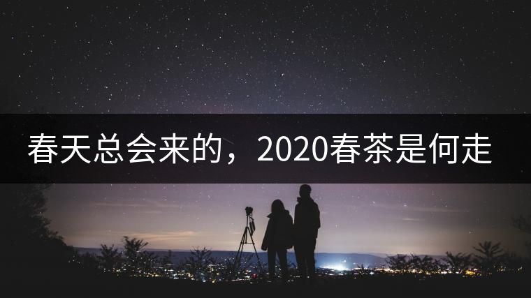 春天總會來的，2020春茶是何走勢？