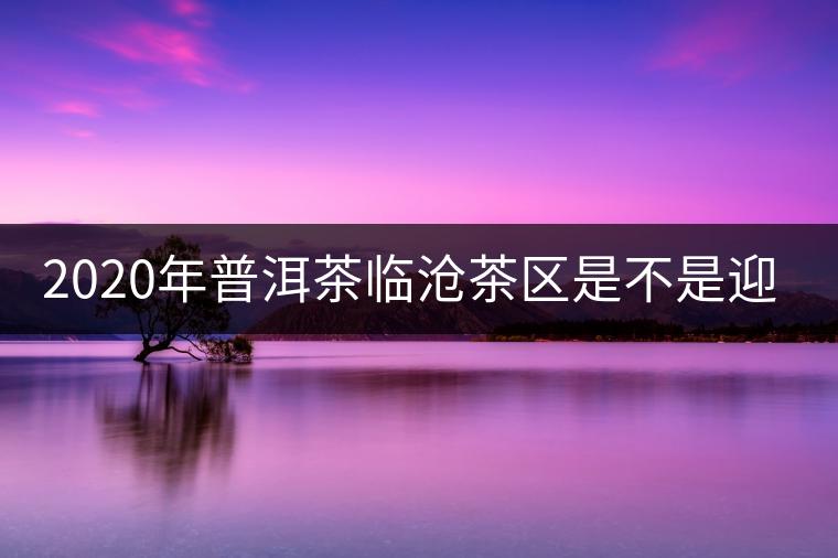 2020年普洱茶臨滄茶區(qū)是不是迎來最好機(jī)遇？