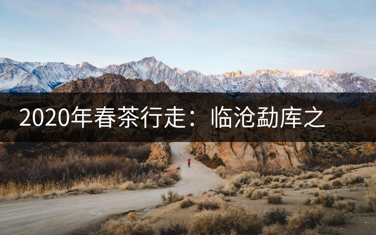 2020年春茶行走：臨滄勐庫之美，不只是冰島普洱茶香