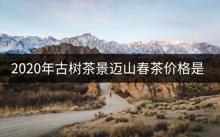 2020年古樹茶景邁山春茶價格是多少？