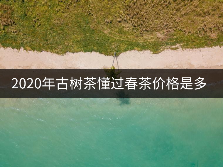 2020年古樹(shù)茶懂過(guò)春茶價(jià)格是多少？