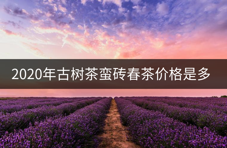 2020年古樹茶蠻磚春茶價(jià)格是多少？
