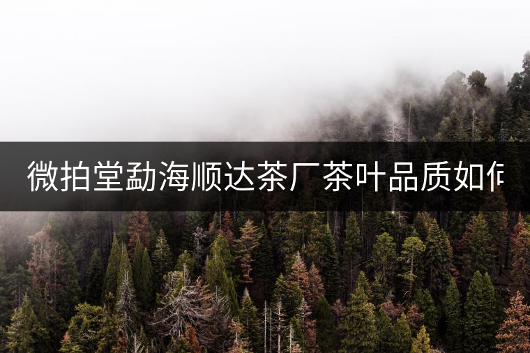 微拍堂勐海順達茶廠茶葉品質如何？