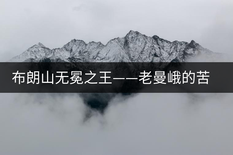 布朗山無冕之王——老曼峨的苦與甜 布朗山無冕之王——老曼峨的苦與甜