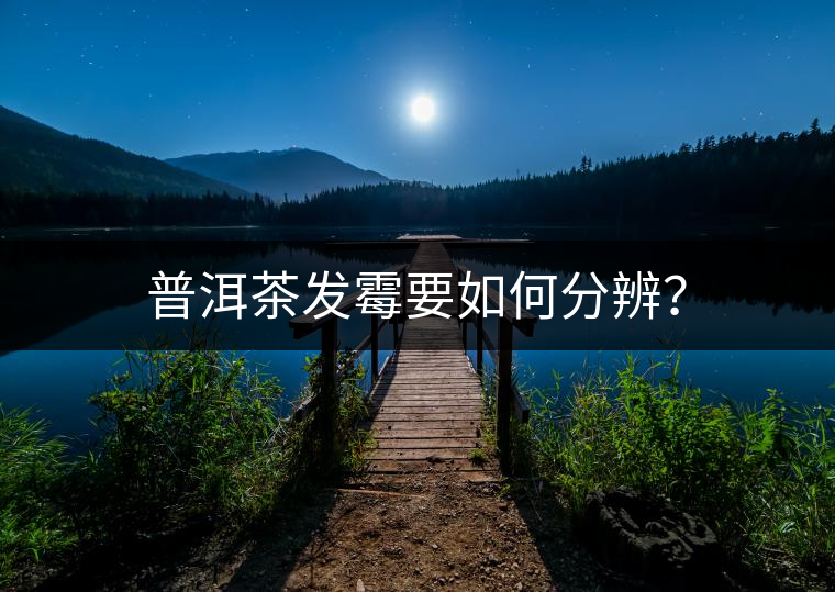 普洱茶發(fā)霉要如何分辨? 普洱茶發(fā)霉要如何分辨?